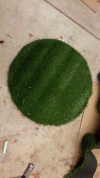 Illustration for article titled Septic tank lid in my yard will have hell toupee